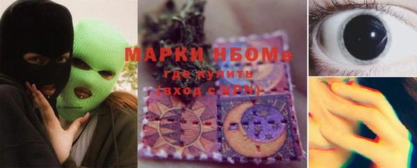 ешки Аркадак