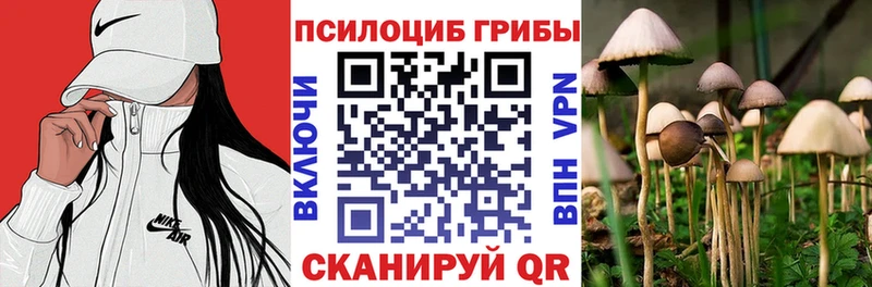 Псилоцибиновые грибы Cubensis  Нея 